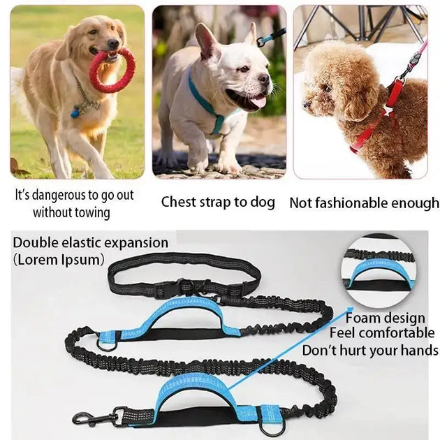 Laisse de course élastique pour chien avec ceinture - Laisse de course réfléchissante