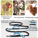 Laisse de course élastique pour chien avec ceinture - Laisse de course réfléchissante