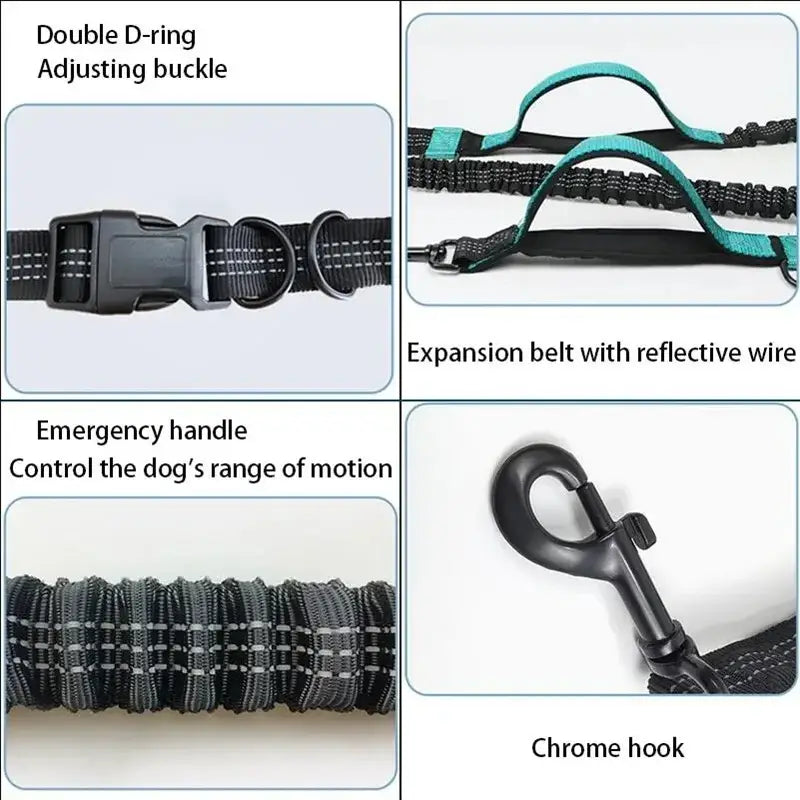 Laisse de course élastique pour chien avec ceinture - Laisse de course réfléchissante