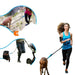 Laisse de course élastique pour chien avec ceinture - Laisse de course réfléchissante