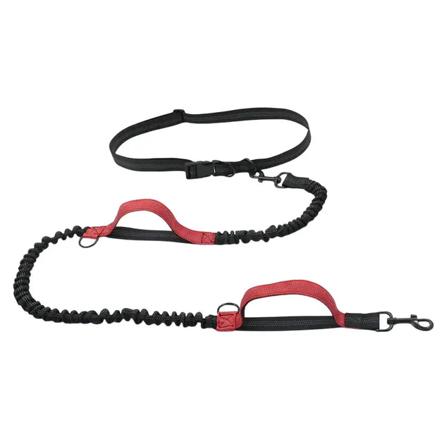 Laisse de course élastique pour chien avec ceinture - Rouge - Laisse de course réfléchissante