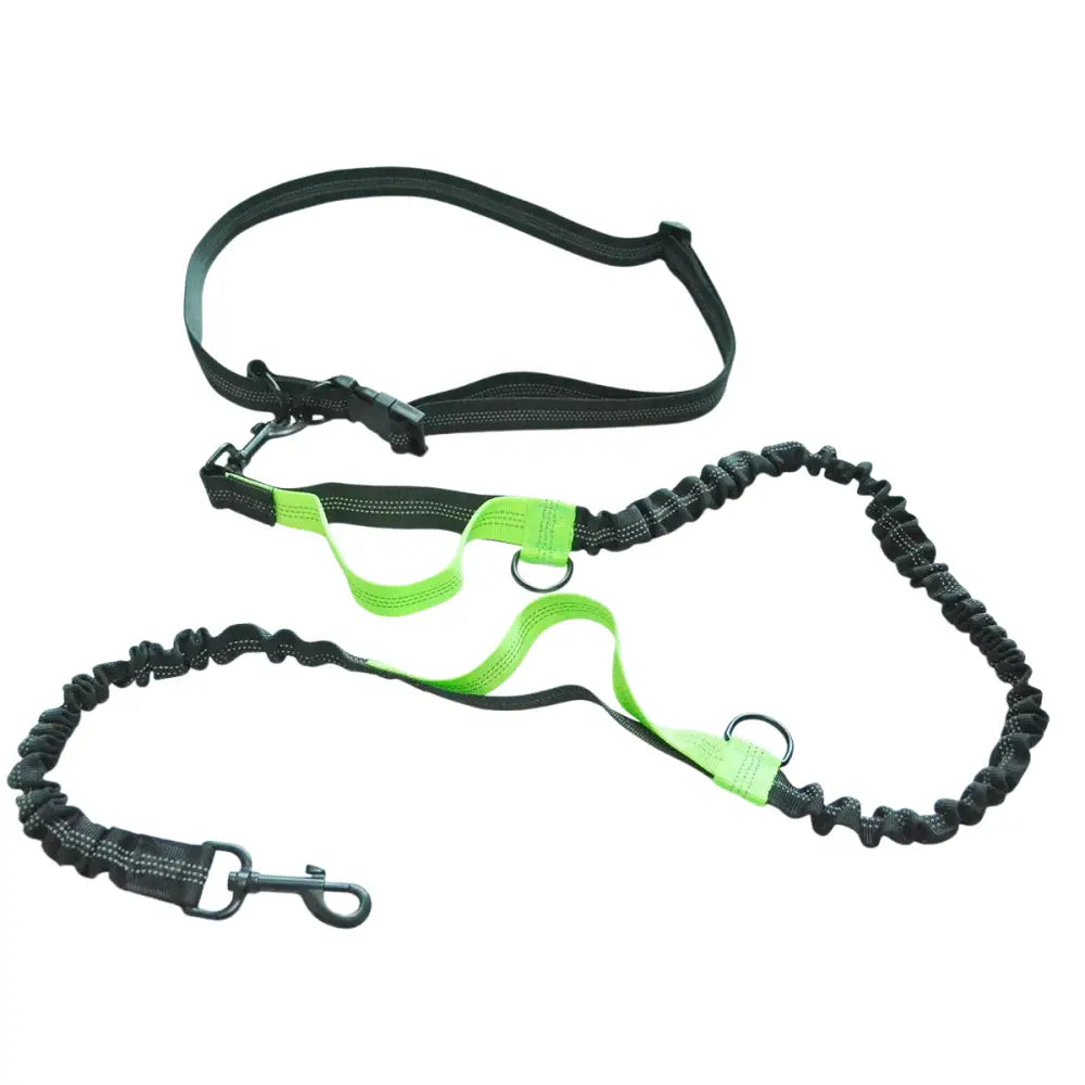 Laisse de course élastique pour chien avec ceinture - Vert - Laisse de course réfléchissante