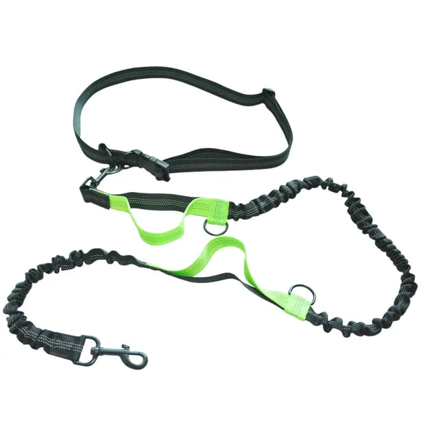 Laisse de course élastique pour chien avec ceinture - Vert - Laisse de course réfléchissante