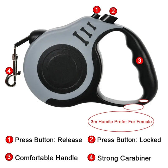 Laisse rétractable chien et chat ergonomique – Multicolore - Laisse pour chien