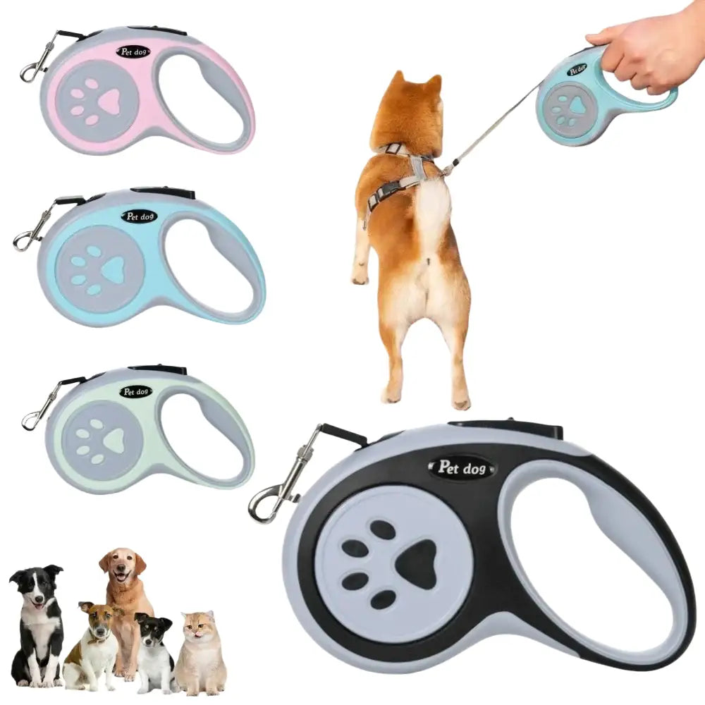 Laisse rétractable pour chien avec motif de patte - Laisse pour chien