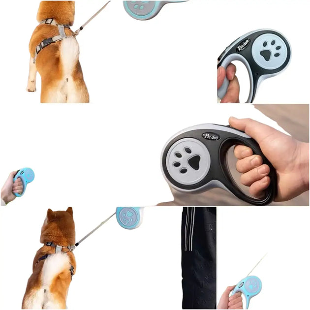 Laisse rétractable pour chien avec motif de patte - Laisse pour chien