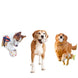 Lanceur automatique de balles pour chien rechargeable - Jouet pour chien