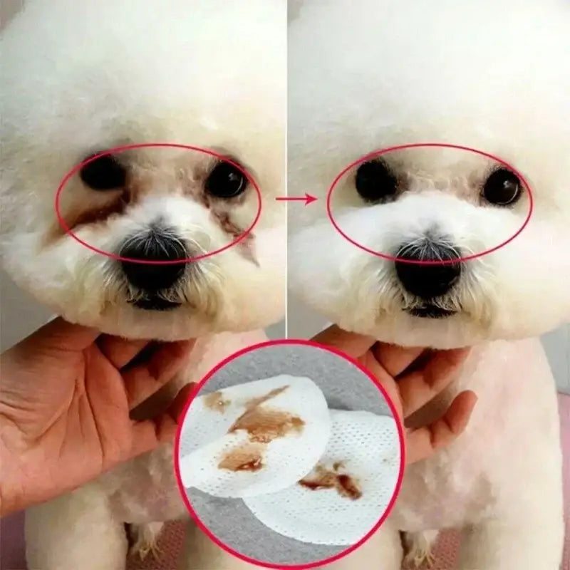Lingettes Nettoyantes pour Yeux de Chiens et Chats 130 Pièces - Titre par défauts - Lingettes nettoyantes pour chien