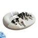 Cooling Dog Bed Summer Ice Silk Cat Mat Oval Pet Nest Breathable Heat Dissipation Cooling Pad for Small Medium Large