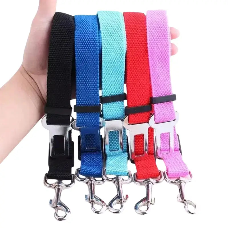 Lot de 3 ceintures de sécurité pour chien et chat - Ceinture pour animaux de compagnie