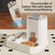 Mangeoire pour chien et distributeur de croquette - Mangeoire pour chien