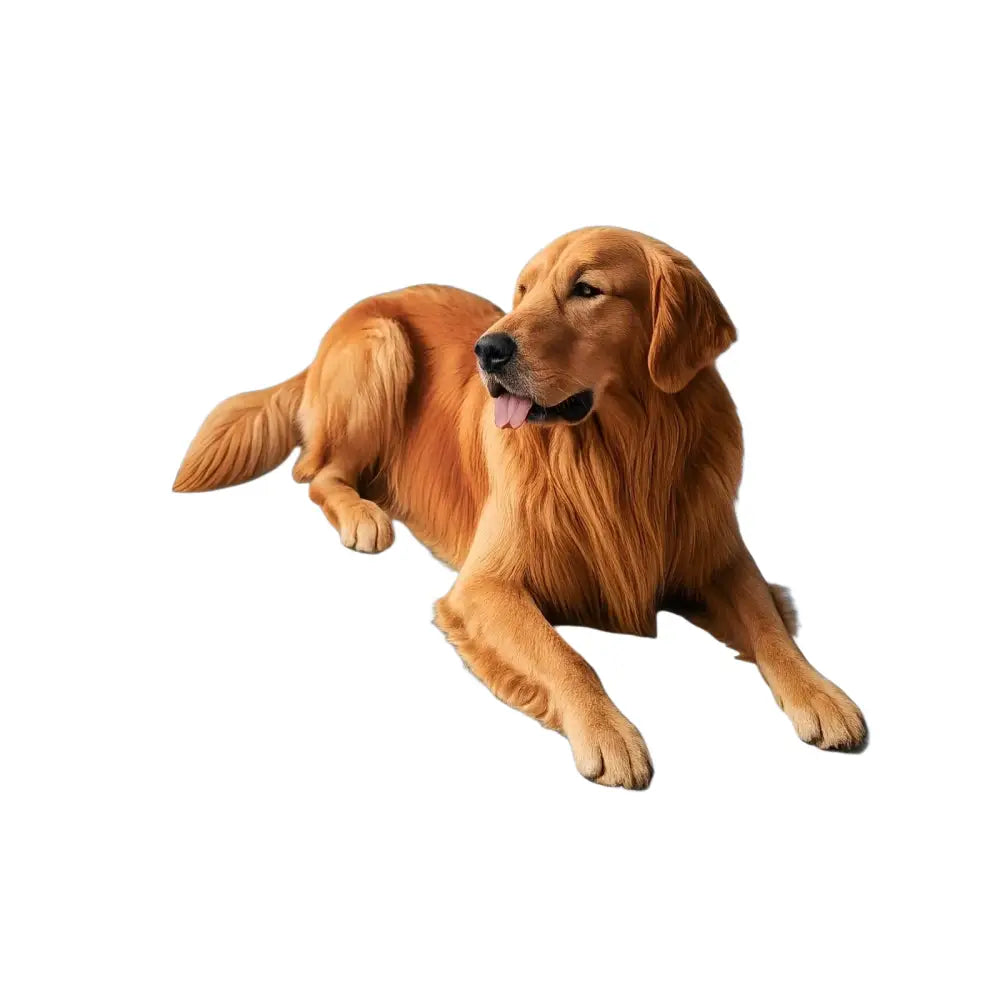 New Dog Cooling Mat Summer Washable Portable Pet Coolings Pad for Dogs Cat Ice Silk Blanket Sofa Breathable Sleeping