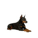New Dog Cooling Mat Summer Washable Portable Pet Coolings Pad for Dogs Cat Ice Silk Blanket Sofa Breathable Sleeping