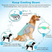New Ice Cooling Dog Vest Summer Mesh Clothes for Small Medium Large Dogs Outdoor Pet Cool Down Jackets Breathable Dog