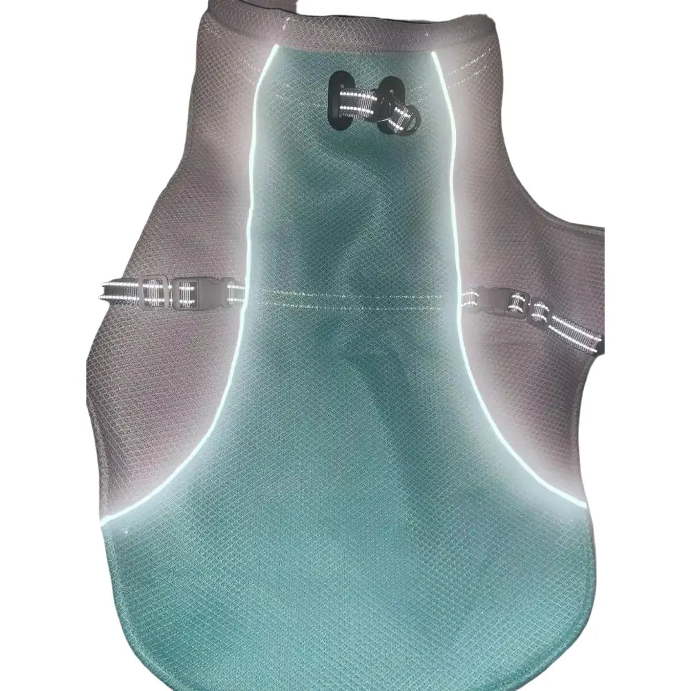 New Ice Cooling Dog Vest Summer Mesh Clothes for Small Medium Large Dogs Outdoor Pet Cool Down Jackets Breathable Dog