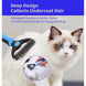 Peigne toilettage chien et chat démêlant – Bleu et noir - Brosse pour chien