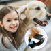 Peigne toilettage chien et chat démêlant – Bleu et noir - Brosse pour chien