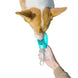 Pet Dog Water Bottle 300ML Puppy Drinking Bowls For Small Medium Dogs Cats Hiking Portable Cat Feeder Golden Retriever
