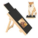 Planche à Gratter pour Chien avec Boîte à Friandises Intégrée - Avec un Support - Planche à gratter pour ongle de chien