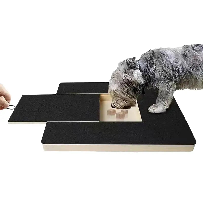 Planche à Gratter pour Chien avec Boîte à Friandises Intégrée - Planche à gratter pour ongle de chien