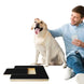 Planche à Gratter pour Chien avec Boîte à Friandises Intégrée - Planche à gratter pour ongle de chien