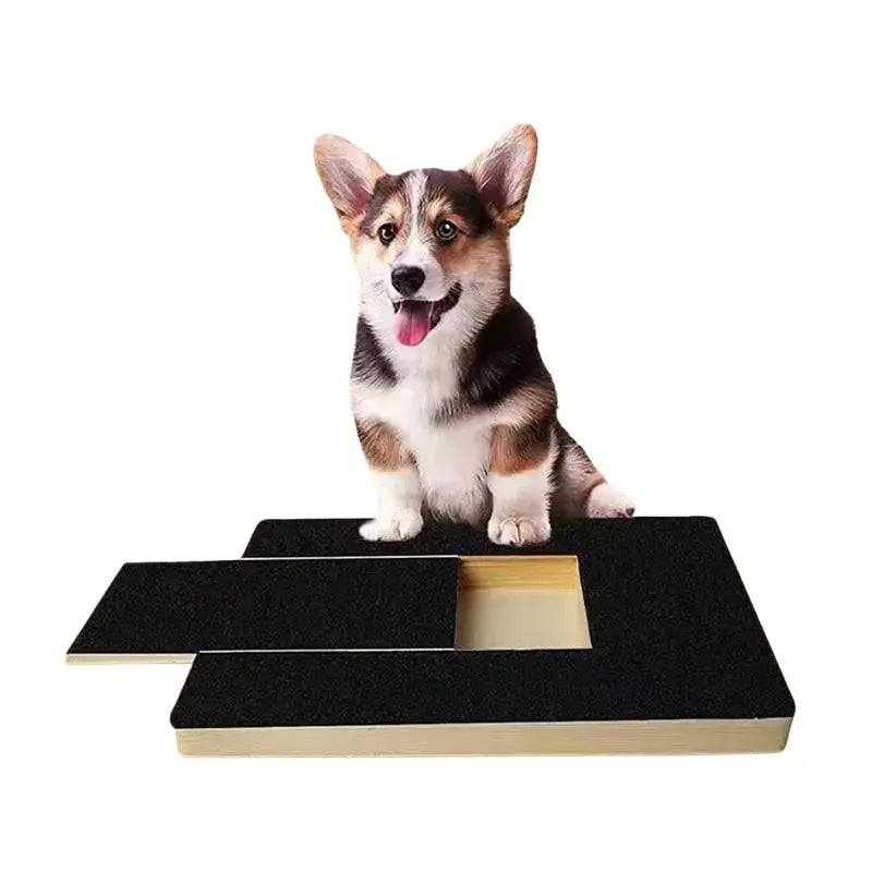 Planche à Gratter pour Chien avec Boîte à Friandises Intégrée - Planche à gratter pour ongle de chien