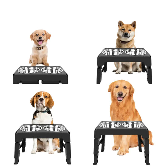Station bols en acier inoxydable pour grands chiens - Allemagne - Mangeoire pour chien