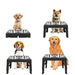 Station bols en acier inoxydable pour grands chiens - Allemagne - Mangeoire pour chien