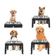 Station bols en acier inoxydable pour grands chiens - Allemagne - Mangeoire pour chien