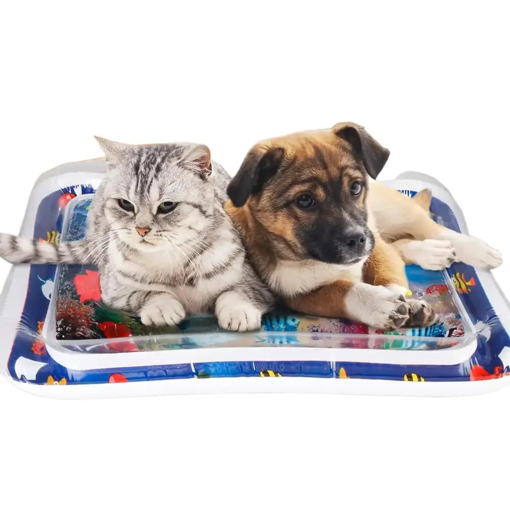Tapis de jeu aquatique gonflable pour animaux - Tapis de jeux pour animaux de compagnie