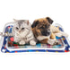 Tapis de jeu aquatique gonflable pour animaux - Tapis de jeux pour animaux de compagnie