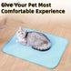 Tapis refroidissement chien et chat matelassé losanges – Bleu clair - Tapis pour chien