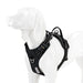 TRUE LOVE Pet Harness No Pull Nylon Reflective Dog Harness Adjustable Comfortable Control Step-in Brilliant Truelove