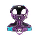 TRUE LOVE Pet Harness No Pull Nylon Reflective Dog Harness Adjustable Comfortable Control Step-in Brilliant Truelove