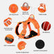 TRUE LOVE Pet Harness No Pull Nylon Reflective Dog Harness Adjustable Comfortable Control Step-in Brilliant Truelove